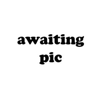 David Chapman Managing Director & Head of Sales